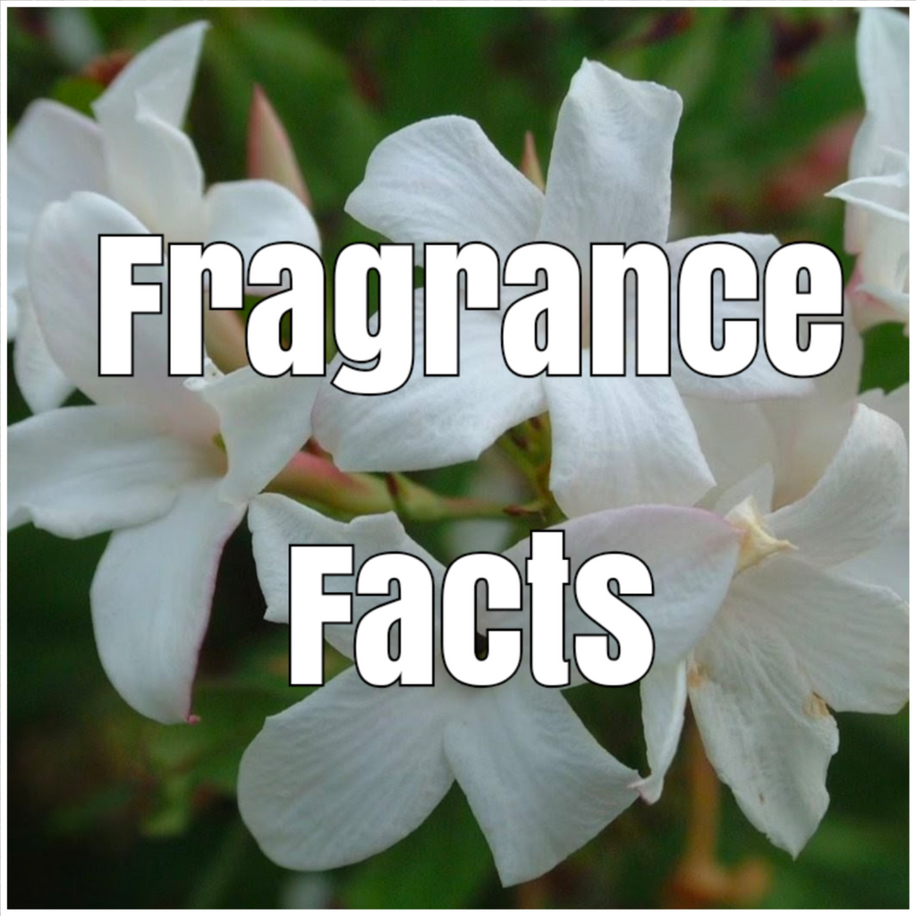More Fragrance Facts