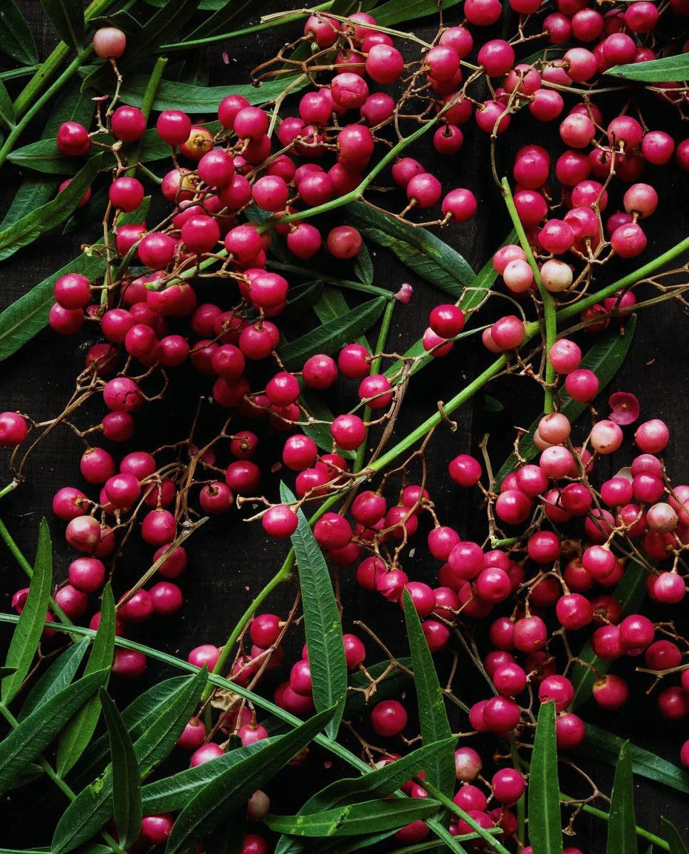 What Is Pink Pepper? – Parfumerie Nasreen