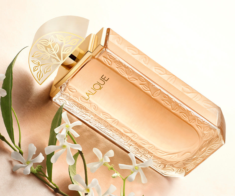 Lalique – Parfumerie Nasreen