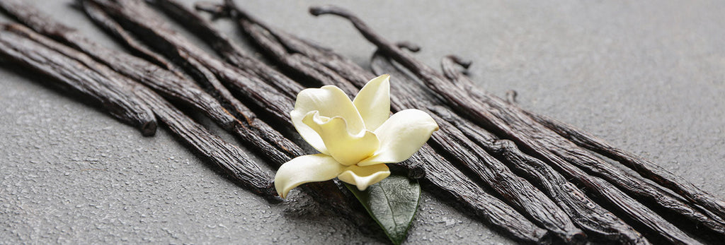 aromatic vanilla fragrance family