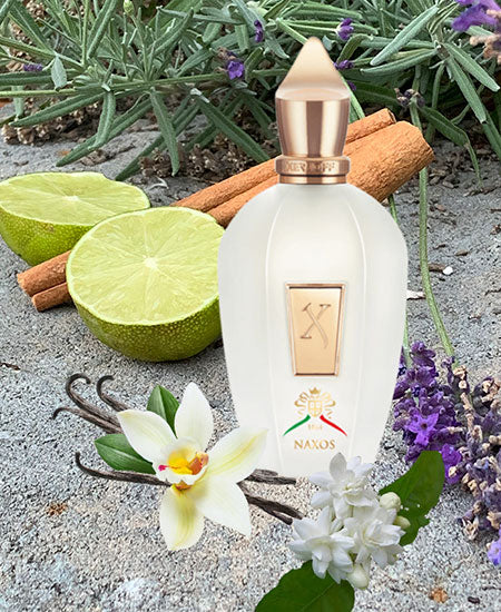 E*a様 濃厚ハニー&タバコ Xerjoff Naxos 100ml Xerjoff Naxos EDP (100 ml) #10086775 – Smallflower